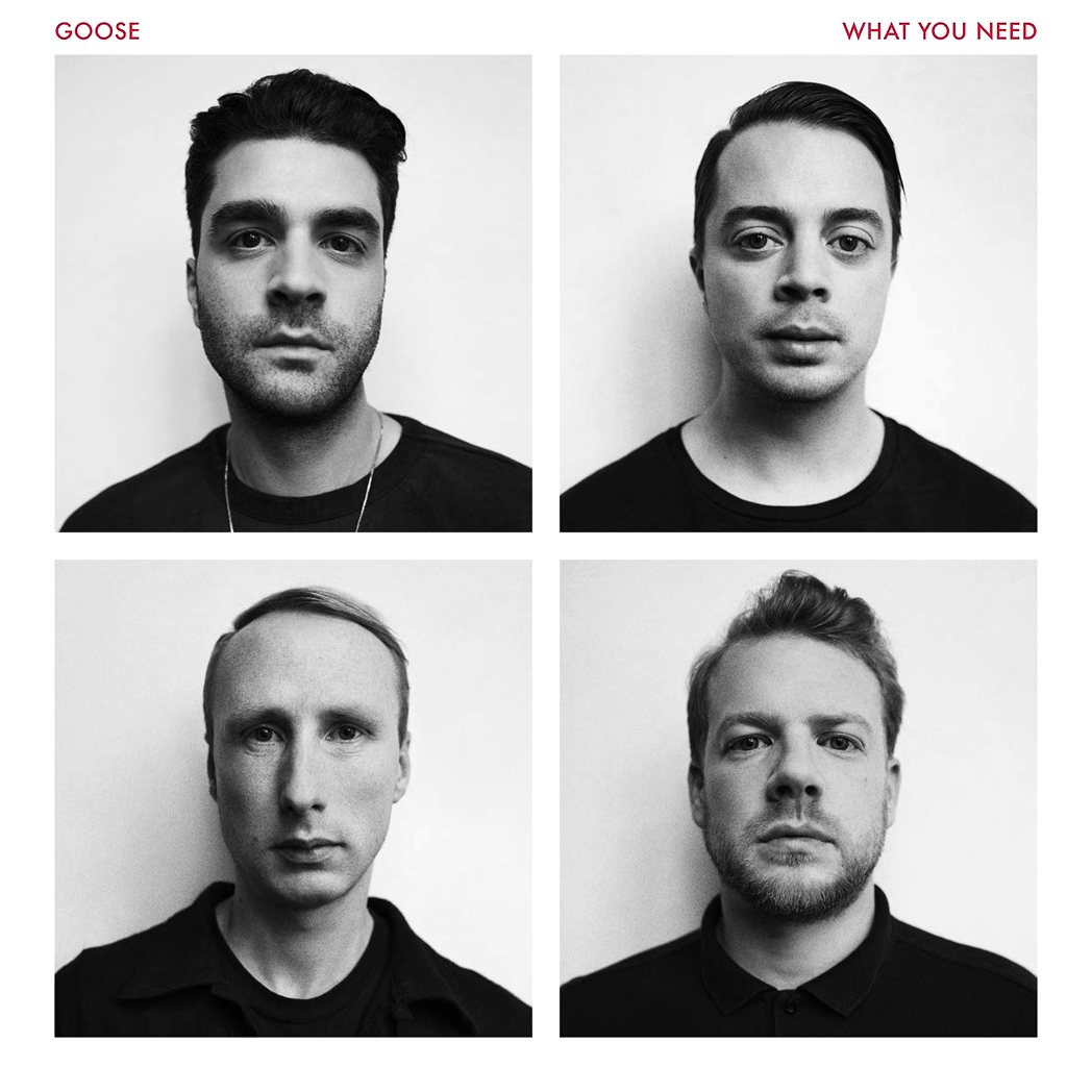 GOOSE, "What You Need" (Safari Records / Universal Music Belgium, 2016) © DR / Willy Vanderperre